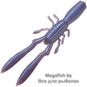 Bottle-Shrimp