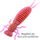 Eatable-Insect