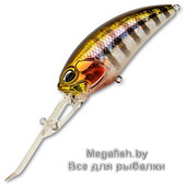 Realis-Crank-G87