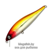Bet-A-Minnow-SR