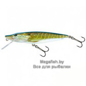 Pike