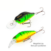 Fat-Shad