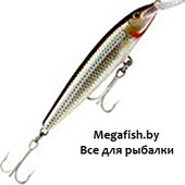FMAG11