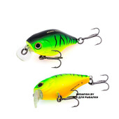 Babbler-40F