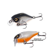 Babbler