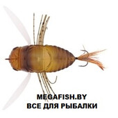 Realis-Dekashinmushi
