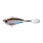 Bantam-BT-Spin