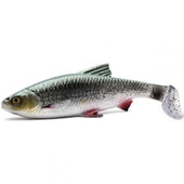 3D-River-Roach