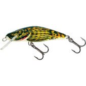BULLHEAD