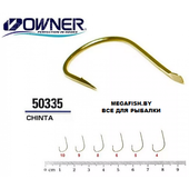 Owner-50335-Chinta