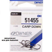 CARP-DOWN-51455