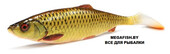 LB-4D-Herring-Shad-110