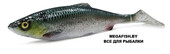 LB-4D-Herring-Shad-130