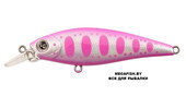 Eco-X-SHAD