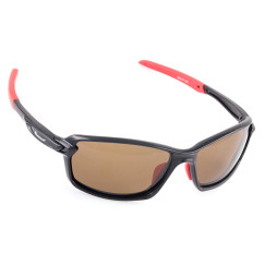 Очки Tagrider N20-1 Brown