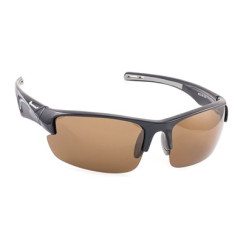 Очки Tagrider N09-1 Brown