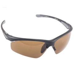 Очки Tagrider N15-1 Brown