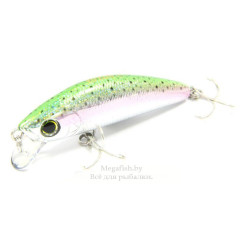 Yo-Zuri/Duel-L-Minnow-66S-M99