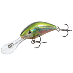           Воблер Salmo Hornet Floating 6cm Holo Oikawa