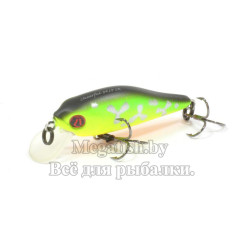 Pontoon 21 Cheerful 34SP-SR 070