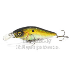 Воблер Inborn XS 75F (7,5см, 12,3гр, 0,4-0,8м) floating InbxS75F-GTR