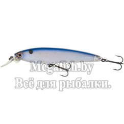 Воблер Yo-Zuri 3D Minnow R725 Цвет: NPB