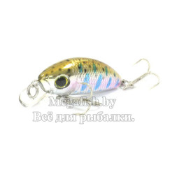 Yo-Zuri/Duel-L-Minnow-66S-M113