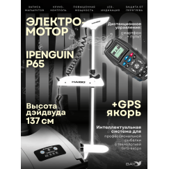 Электрический мотор Haibo iPenguin P65