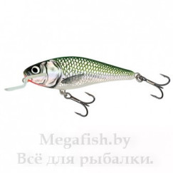 Воблер Salmo Executor (14,5гр, 9см, 1,5-3,0м) SR09 EF