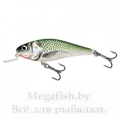 Воблер Salmo Executor (14,5гр, 9см, 1,5-3,0м) SR09 EF