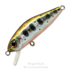 vobler-pontoon-21-crackjack-58sp-sr-050