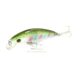 Yo-Zuri/Duel-L-Minnow-66S-NRT