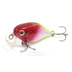 strike-pro-cranky-40-x10-sbo