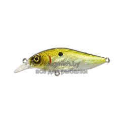 Воблер Inborn XS 60F (6см, 6,45гр, 0,3-0,7м) floating GTR InbxS60F-GTR