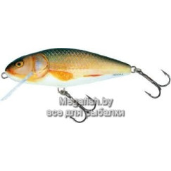 Воблер плав. Salmo PERCH F 12/RR