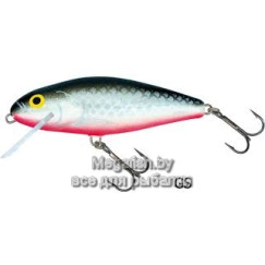 Salmo PERCH F 12/GS
