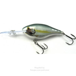rapala-risto-rap-rr07-alb