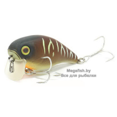 bug-tiger