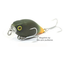 Chubby-38F-GREEN-PELLET-ORANGE