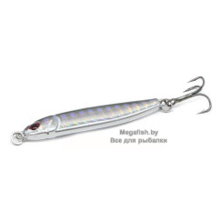 Iron-Minnow