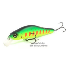 Archback-100-A209S