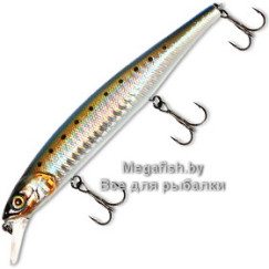 Mag-Squad-115SP-iwashi-border-hl