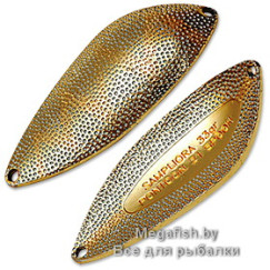 Blesna-Pontoon-21-Sampliora-G22-202