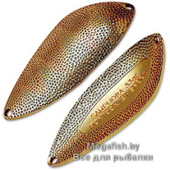 Blesna-Pontoon-21-Sampliora-G52-205