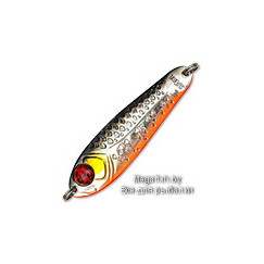 Blesna-Pontoon-21-Paco-S46-000