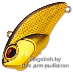 Vobler-Valkein-Li-worm-C005