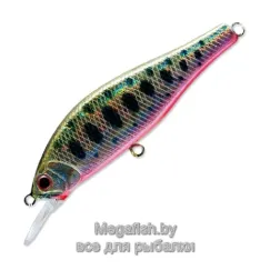 Воблер Anglers Republic Alexandra 50S (3,3г) SCD-79