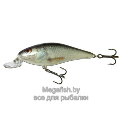 Воблер плавающий Salmo EXECUTOR SR 09/RD (Real Dace)