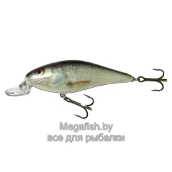 Воблер плавающий Salmo EXECUTOR SR 09/RD (Real Dace)