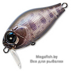Zipbaits-Craze-B-Switcher-Rattler-813R